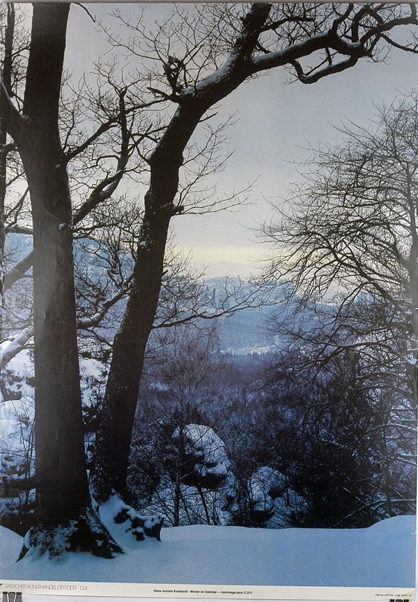 SKH der DDR Nr. 134 - Winter im Gebirge
