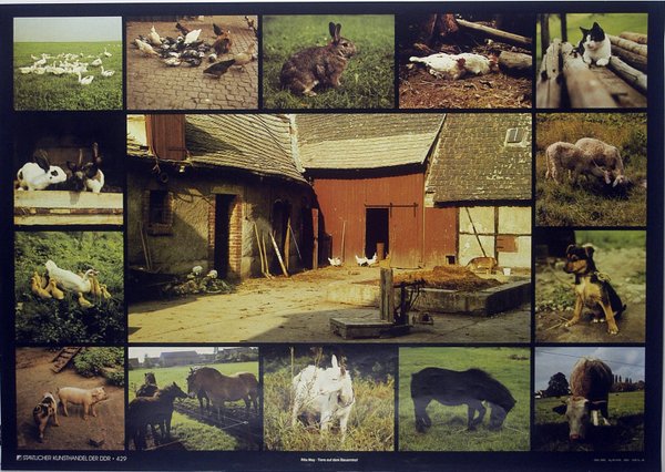SKH der DDR Nr. 429 - Rita May - Tiere auf dem Bauernhof